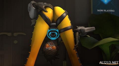 台从不会停 台从不会停